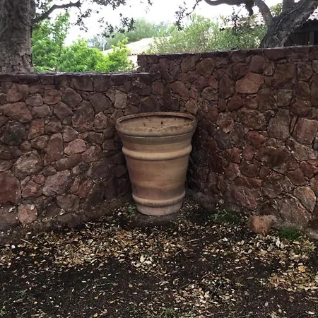 A Casa Di Maria Figari (Corsica)